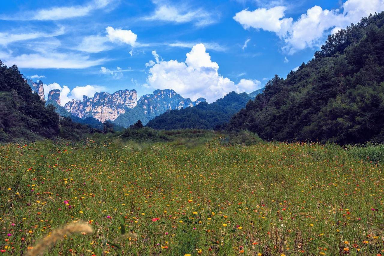 Whispering Mountains Boutique Hotel Zhangjiajie Dış mekan fotoğraf