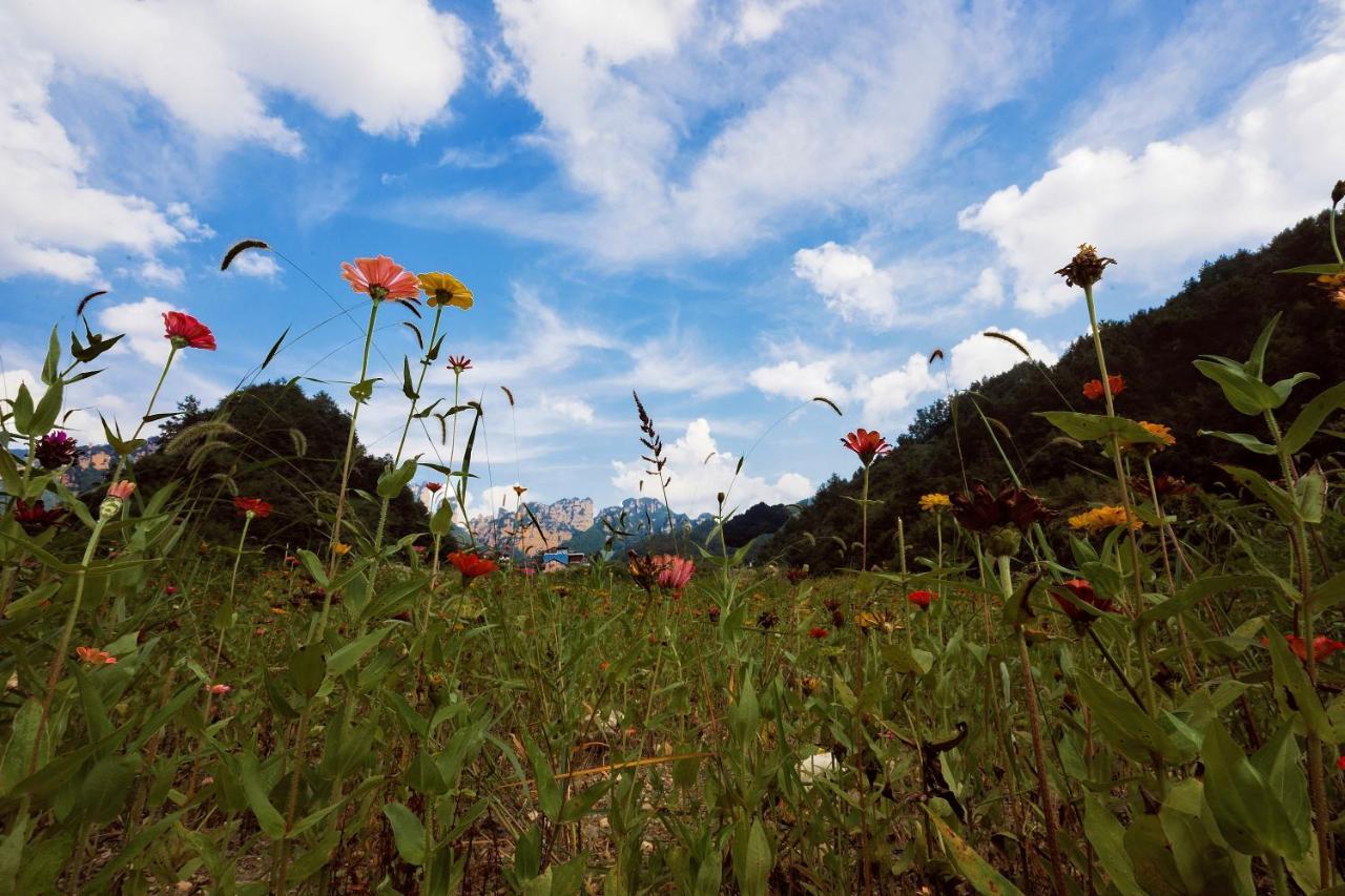 Whispering Mountains Boutique Hotel Zhangjiajie Dış mekan fotoğraf